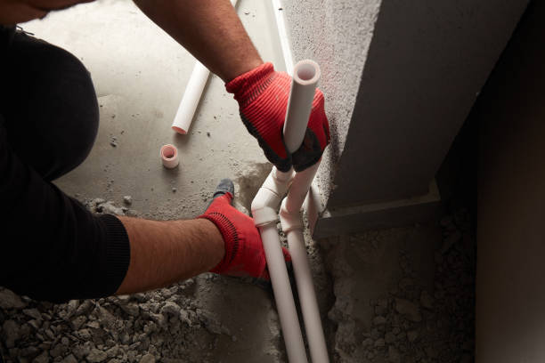 Best Leak Detection Services  in Mankato, MN