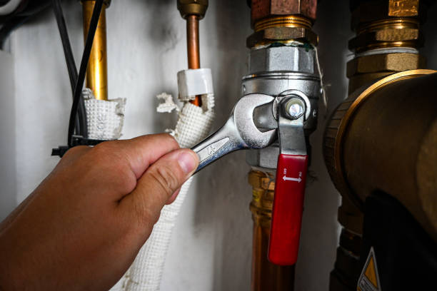 Best Shower Repair Services  in Mankato, MN